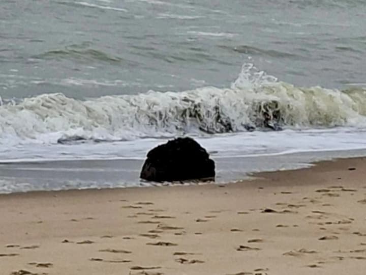 storm-carried-a-naval-mine-to-the-coast-of-odesa-region