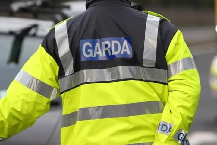 bespilotniki-v-bespoletnoi-zone-vo-vremya-pribitiya-zelenskogo-v-dublin-politsiya-irlandii-nachala-rassledovanie