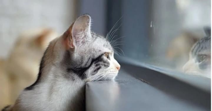 cloudy-in-ukraine-weather-for-december-20