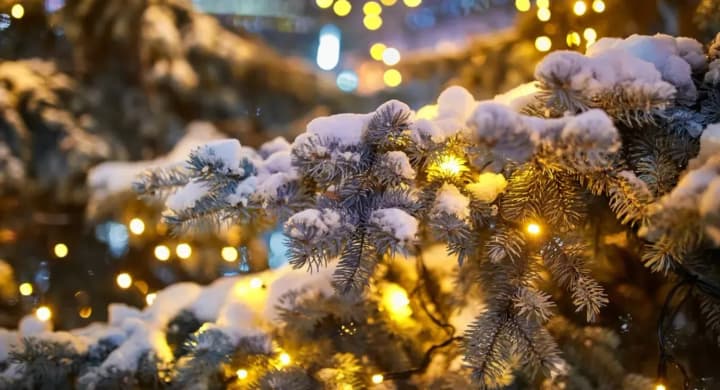 in-ukraine-up-to-14-degrees-of-frost-and-snow-are-expected-on-new-years-eve-didenko