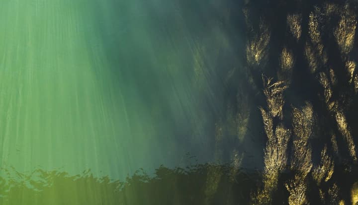 v-indii-9-pogibshikh-i-200-postradavshikh-iz-za-zagryaznennoi-vodi