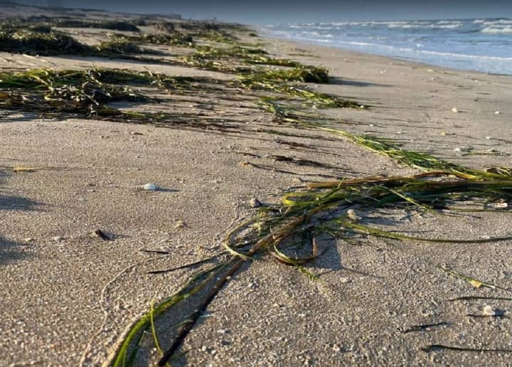 vosstanovlenie-blagopriyatnikh-ekouslovii-zashchita-bioresursov-razvitie-rekreatsionnogo-potentsiala-rf-utverdila-strategiyu-razvitiya-priazovya