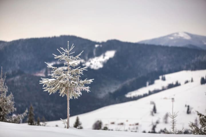 frosts-do-not-recede-january-13-up-to-20-black-ice-and-snow-in-the-west