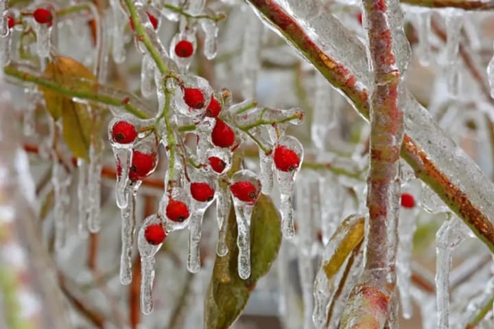 morozi-ne-utikhayut-kakoi-budet-pogoda-v-ukraine-13-yanvarya