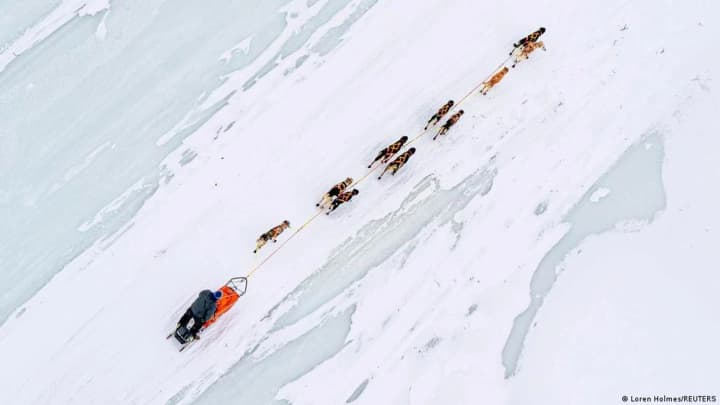 gonka-sobachikh-upryazhek-v-grenlandii-spetsposlantsu-trampa-otmenili-priglashenie