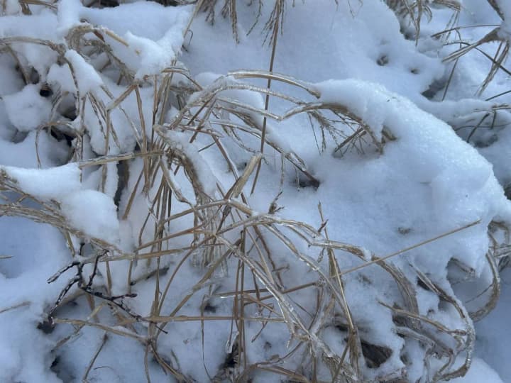 ukrainu-nakroet-pokholodanie-do-16-gradusov-no-potom-pridet-poteplenie-prognoz-na-26-yanvarya