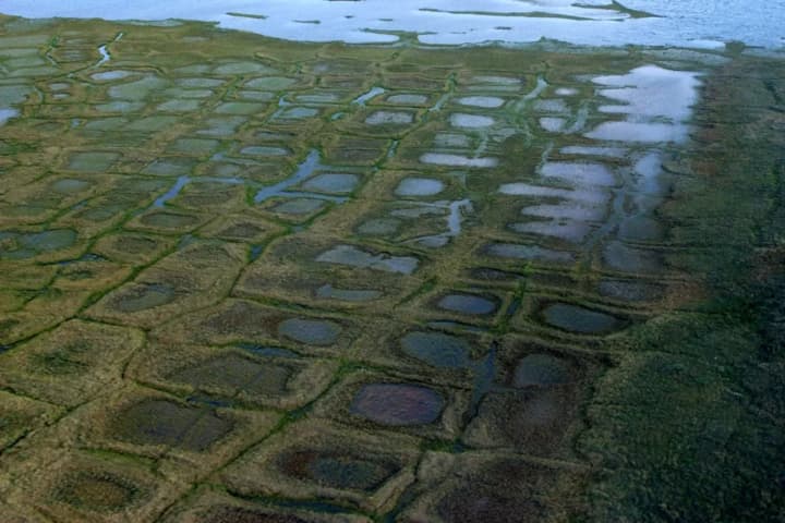 court-allows-conocophillips-to-continue-oil-exploration-in-alaska