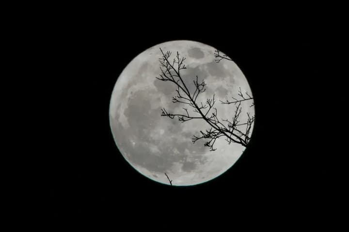 full-snow-moon-in-february-will-light-up-the-sky-when-and-how-to-see-it