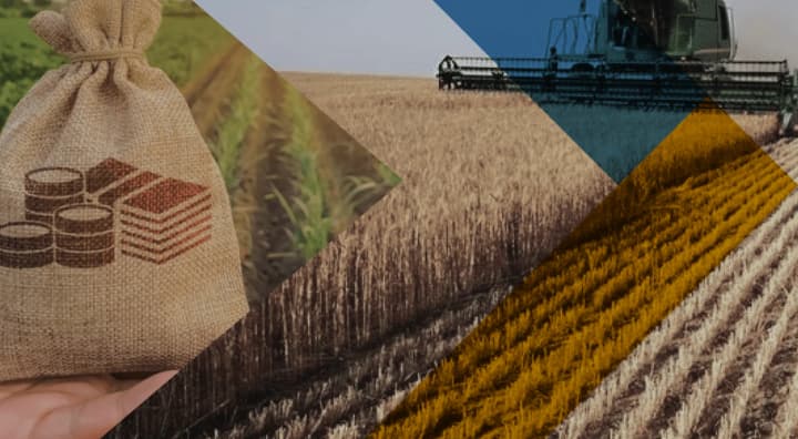 rf-hotuie-masovu-konfiskatsiiu-zemelnykh-paiv-na-okupovanii-luhanshchyni-tsns