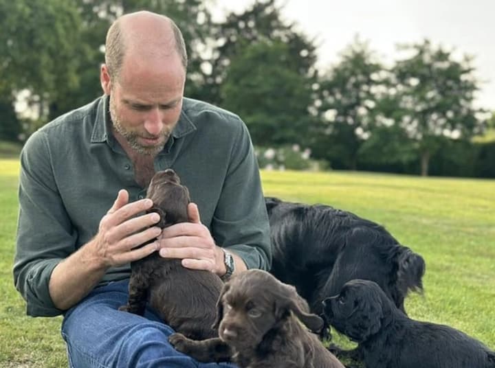 princess-of-wales-confirms-new-family-member-kate-and-william-have-a-puppy