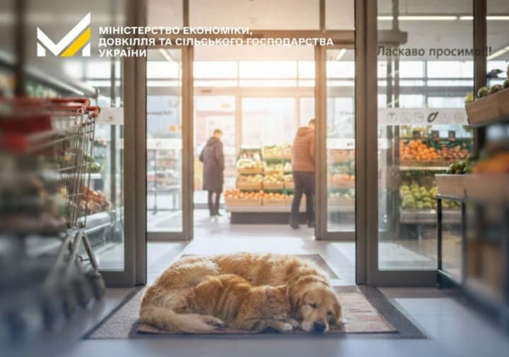 minekonomiky-rozpovilo-yak-biznesu-dopomahaty-bezprytulnym-tvarynam-pid-chas-moroziv-bez-porushennia-norm