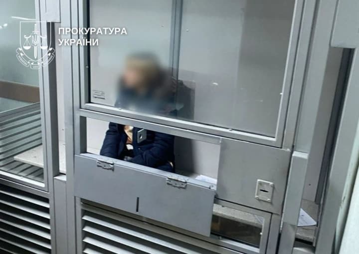 ekstradovanu-z-nimechchyny-uchasnytsiu-skhemy-z-surohatnym-materynstvom-sudytymut-u-kyievi