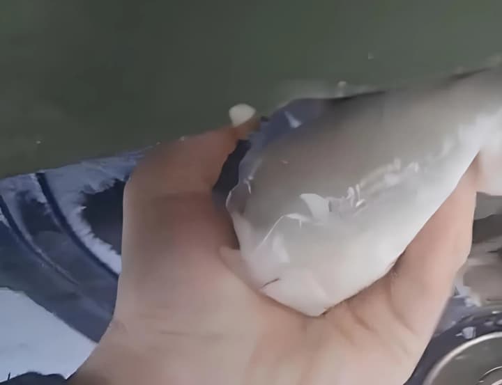 partyzan-atesh-vyviv-z-ladu-rosiisku-spetstekhniku-z-obladnanniam-omut-na-brianshchyni