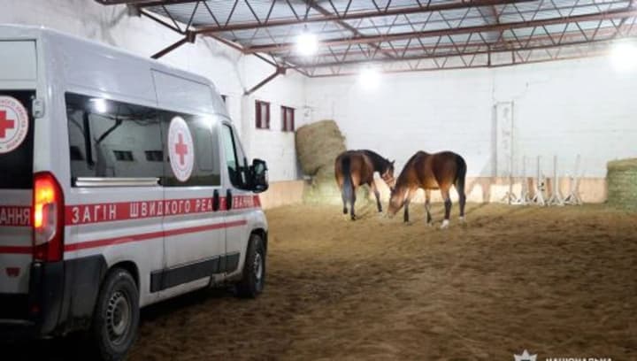 riatuvalna-operatsiia-na-kharkivshchyni-19-konei-evakuiovano-z-pryfrontovoi-zony