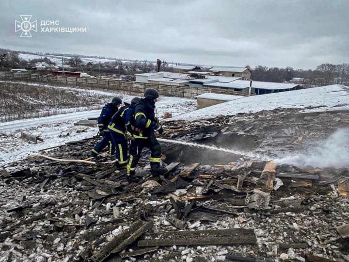 voroh-atakuvav-fermu-na-kharkivshchyni-zahynulo-100-svynei-postrazhdav-cholovik