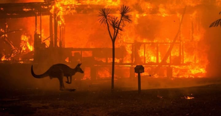 massive-bushfires-in-australia-force-authorities-to-declare-urgent-evacuation-in-one-of-the-states