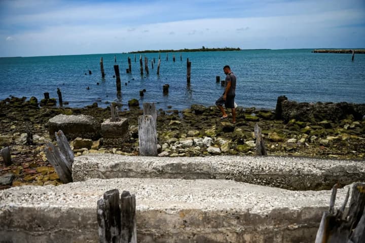 nyt-kater-shcho-zaishov-u-vody-kuby-ne-nalezhav-berehovii-okhoroni-abo-vms-ssha