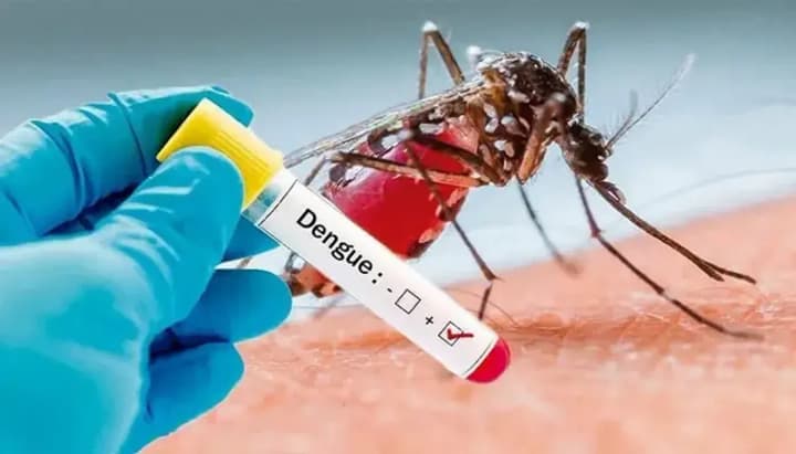 a-case-of-dengue-fever-was-recorded-in-a-24-year-old-woman-in-lviv-region