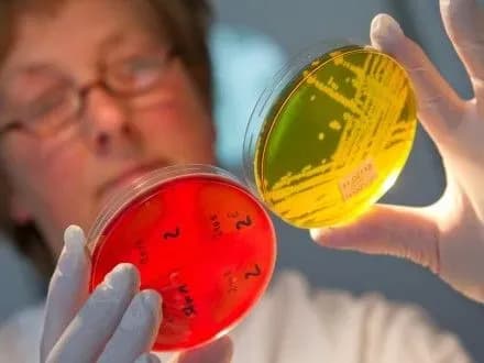 До лікарів після отруєння в Ізмаїлі звернулося 769 людей - ДСНС