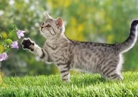 Сегодня киевлян ожидает сухая и теплая погода