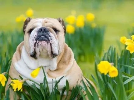 Сьогодні в деяких регіонах України - короткочасний дощ