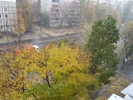 У столиці пішов перший сніг