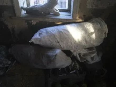 Плантацію снотворного маку виявили в районі АТО