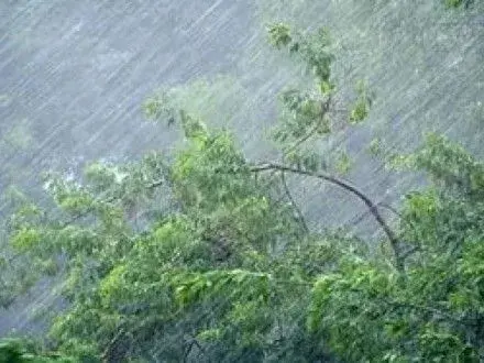 Из-за непогоды 11 населенных пунктов Житомирщины остались без света