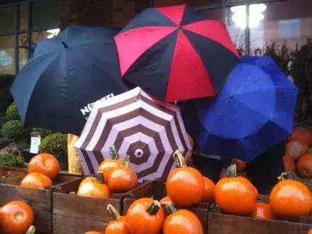 На Хелловін в Україні буде дощити