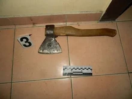 Поліція затримала киянина, який вдарив матір сокирою по голові