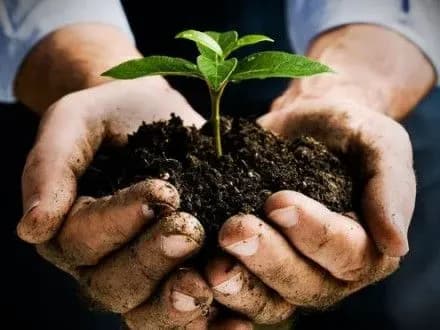 Т.Кутовий обговорив із віце-президентом ЄІБ механізми надання допомоги фермерам