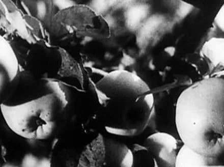 Агітаційне кіно О.Довженка покажуть у Києві