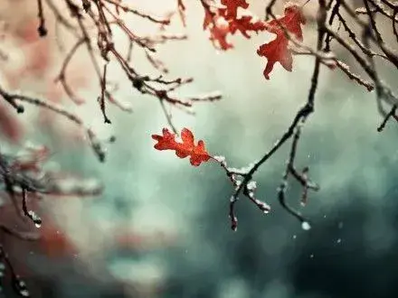 Сьогодні в столиці без істотних опадів