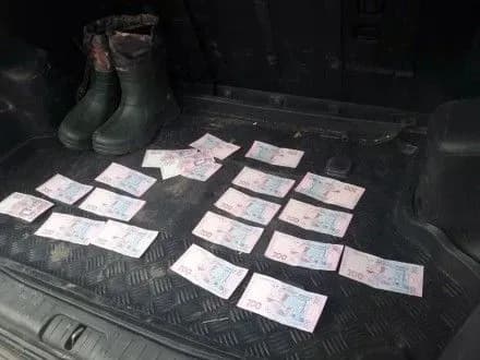 Начальника лісгоспу затримали на хабарі на Донеччині