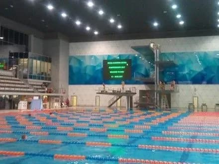 Євроделегація залишилась задоволеною підготовкою Києва до ЧЄ зі стрибків у воду