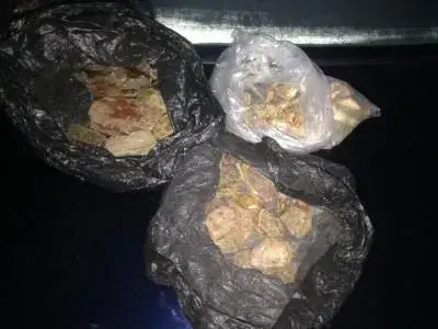 Пограничники в Ровенской области задержали автомобиль, перевозивший янтарь