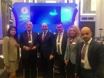 Питання звільнення українських заручників і надання амністії бойовикам не можуть бути пов’язані – І.Фріз