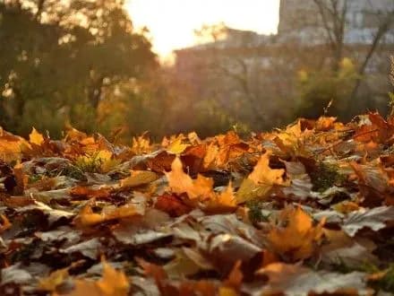 Сьогодні в столиці втановиться суха і вітряна погода