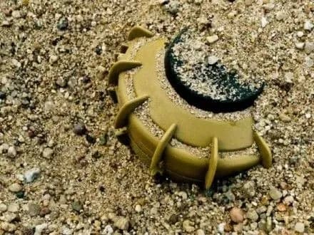 Украина оказалась среди "лидеров" по количеству жертв мин