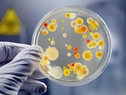 Працівникам інтернату винесли догани за спалах гепатиту А серед дітей на Житомирщині