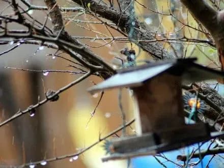 В Києві пройдуть опади