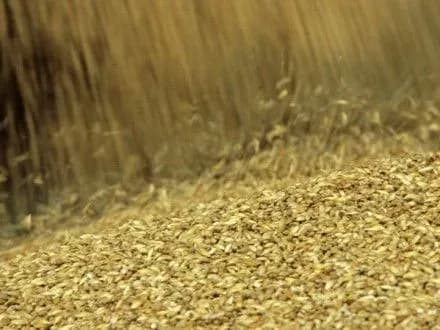 Заборонені до ввезення в інших країнах хвороби зерна в Україні не є карантинними - експерт