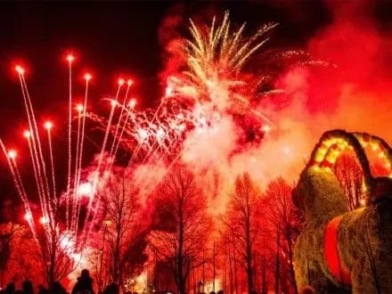 Солом'яний різдвяний цап згорів у Швеції на своє 50-річчя