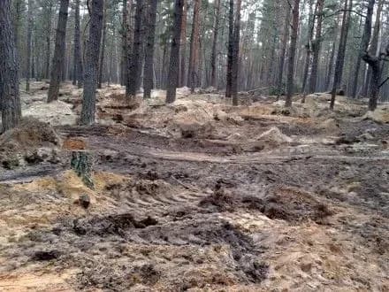 Кабмін планує запустити пілотний проект з рекультивації земель, пошкоджених від видобутку бурштину