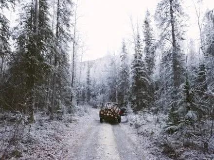 Сьогодні киян очікує невеликий сніг