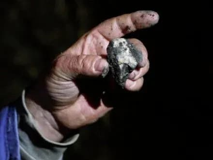 Геологічна наука в Україні потужна, але занедбана - М.Гавриленко