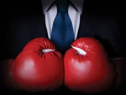 Боксерские перчатки В.Кличко продадут на аукционе в Киеве