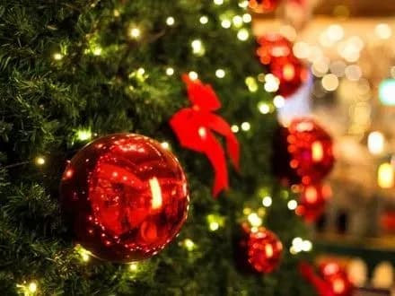 Продаж ялинок у столиці здійснюється на 144 майданчиках