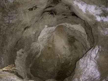 Житель Черкасской области нашел в лесополосе 250-кг авиабомбу