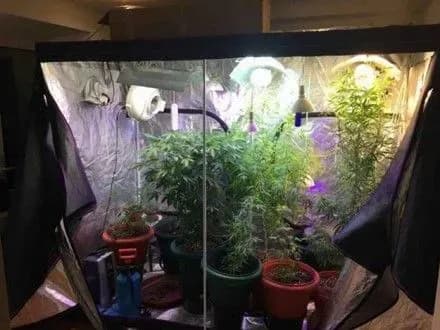 Двох киян затримали за розповсюдження наркотиків